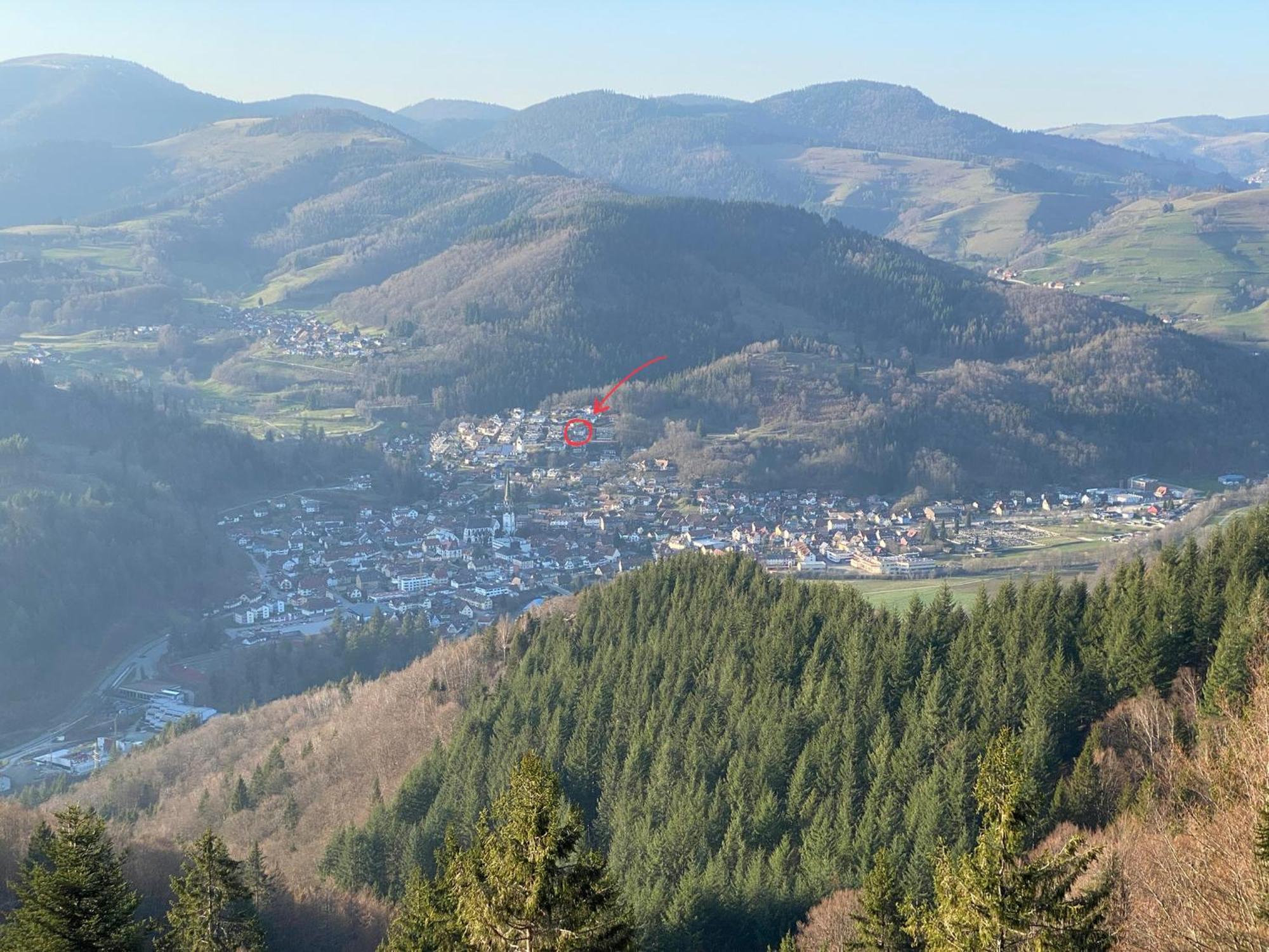 Ferienwohnung Traumblick Schönau im Schwarzwald Екстериор снимка